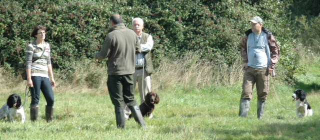 Gundog training class